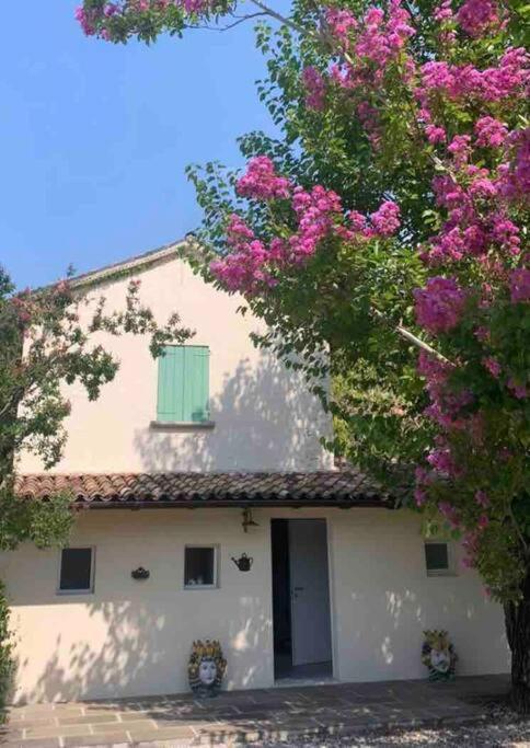 Casa Bellona Montebelluna Exteriör bild